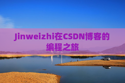 Jinweizhi在CSDN博客的编程之旅